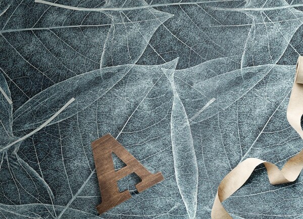 Alfombra vinilo cocina Esqueleto